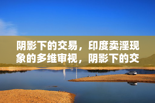 阴影下的交易，印度卖淫现象的多维审视，阴影下的交易，印度卖淫现象的多维审视