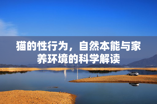 猫的性行为，自然本能与家养环境的科学解读
