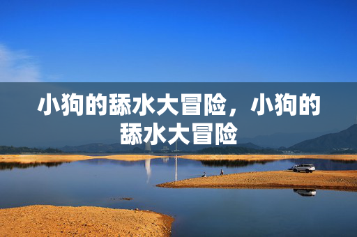小狗的舔水大冒险,小狗的舔水大冒险 小狗的舔水大冒险,小狗的舔水大冒险