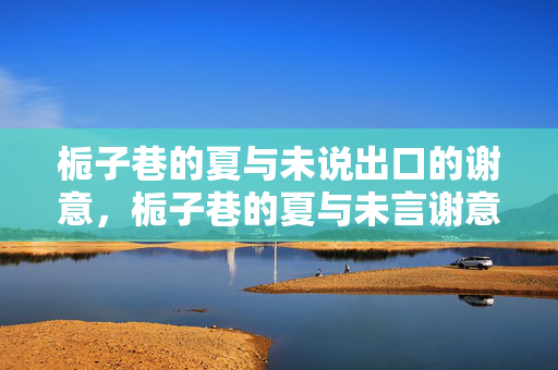 栀子巷的夏与未说出口的谢意,栀子巷的夏与未言谢意 栀子巷的夏与未说出口的谢意,栀子巷的夏与未言谢意