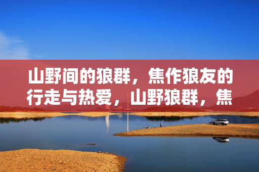 山野间的狼群,焦作狼友的行走与热爱,山野狼群,焦作狼友的行走与热爱 山野间的狼群,焦作狼友的行走与热爱,山野狼群,焦作狼友的行走与热爱