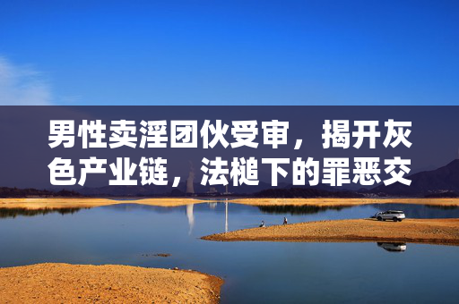 男性卖淫团伙受审,揭开灰色产业链,法槌下的罪恶交易,男性卖淫团伙受审,法槌揭开灰色产业链罪恶交易 男性卖淫团伙受审,揭开灰色产业链,法槌下的罪恶交易,男性卖淫团伙受审,法槌揭开灰色产业链罪恶交易