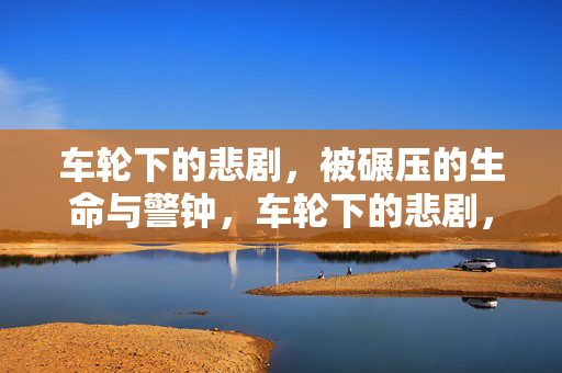 车轮下的悲剧,被碾压的生命与警钟,车轮下的悲剧,被碾压生命与警钟 车轮下的悲剧,被碾压的生命与警钟,车轮下的悲剧,被碾压生命与警钟