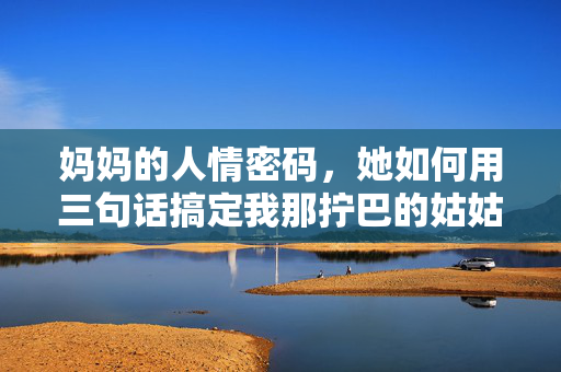 妈妈的人情密码，她如何用三句话搞定我那拧巴的姑姑，妈妈的人情密码，三句话搞定拧巴姑姑