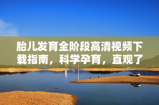 胎儿发育全阶段高清视频下载指南,科学孕育,直观了解生命成长,胎儿发育全阶段高清视频下载指南,科学孕育,直观见证生命成长 胎儿发育全阶段高清视频下载指南,科学孕育,直观了解生命成长,胎儿发育全阶段高清视频下载指南,科学孕育,直观见证生命成长