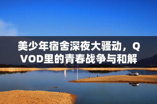 美少年宿舍深夜大骚动，QVOD里的青春战争与和解，美少年宿舍深夜QVOD，青春战争与和解