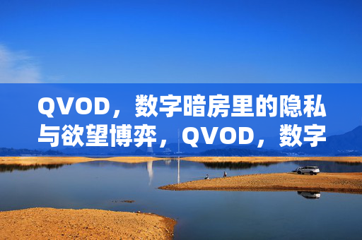 QVOD,数字暗房里的隐私与欲望博弈,QVOD,数字暗房里的隐私与欲望博弈 QVOD,数字暗房里的隐私与欲望博弈,QVOD,数字暗房里的隐私与欲望博弈