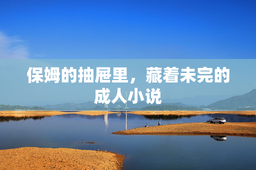 保姆的抽屉里,藏着未完的成人小说 保姆的抽屉里,藏着未完的成人小说