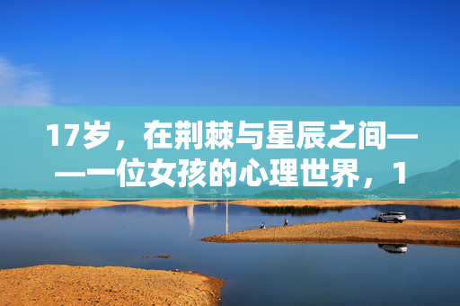 17岁,在荆棘与星辰之间——一位女孩的心理世界,17岁,荆棘与星辰间的女孩心 17岁,在荆棘与星辰之间——一位女孩的心理世界,17岁,荆棘与星辰间的女孩心