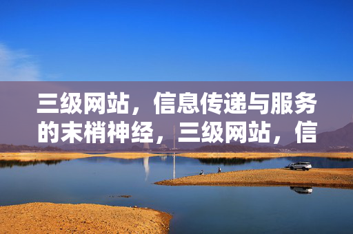 三级网站,信息传递与服务的末梢神经,三级网站,信息传递与服务的末梢神经 三级网站,信息传递与服务的末梢神经,三级网站,信息传递与服务的末梢神经