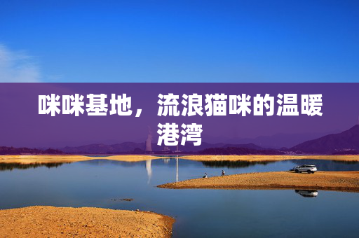 咪咪基地,流浪猫咪的温暖港湾 咪咪基地,流浪猫咪的温暖港湾