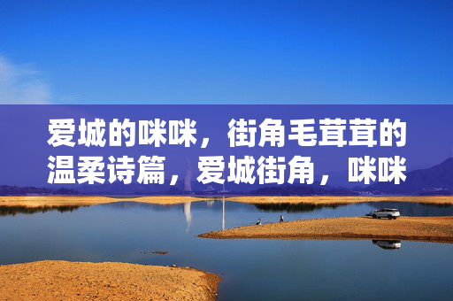 爱城的咪咪,街角毛茸茸的温柔诗篇,爱城街角,咪咪的毛茸茸诗篇 爱城的咪咪,街角毛茸茸的温柔诗篇,爱城街角,咪咪的毛茸茸诗篇