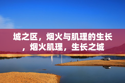 城之区,烟火与肌理的生长,烟火肌理,生长之城 城之区,烟火与肌理的生长,烟火肌理,生长之城