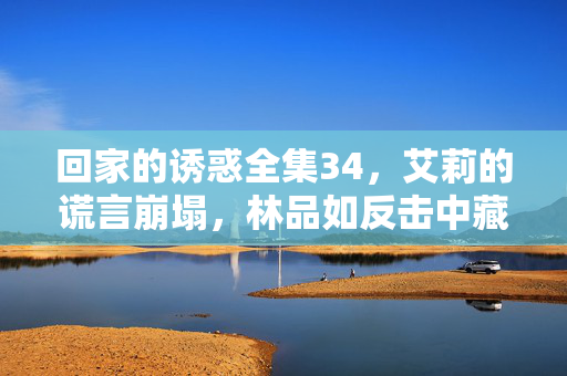回家的诱惑全集34,艾莉的谎言崩塌,林品如反击中藏杀机 回家的诱惑全集34,艾莉的谎言崩塌,林品如反击中藏杀机