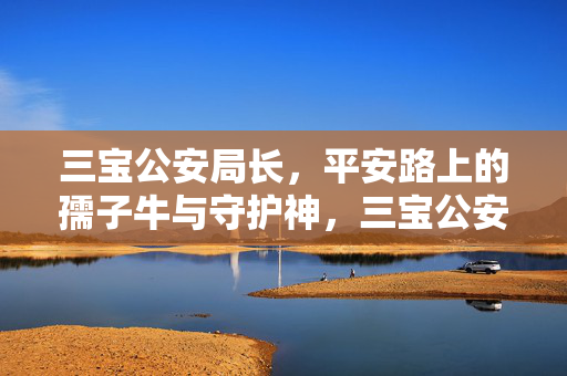 三宝公安局长，平安路上的孺子牛与守护神，三宝公安局长，平安路上的孺子牛与守护神