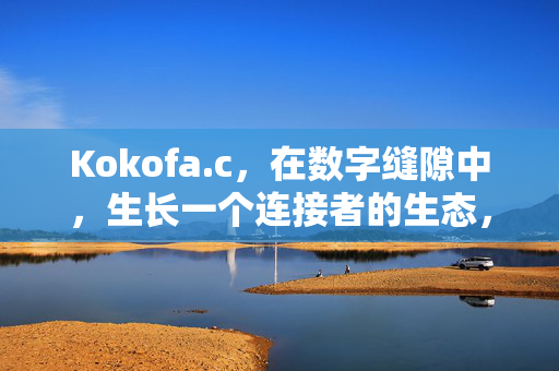 Kokofa.c,在数字缝隙中,生长一个连接者的生态,Kokofa.c,数字缝隙中的连接者生态 Kokofa.c,在数字缝隙中,生长一个连接者的生态,Kokofa.c,数字缝隙中的连接者生态