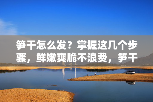 笋干怎么发?掌握这几个步骤,鲜嫩爽脆不浪费,笋干怎么发?几步搞定鲜嫩爽脆不浪费 笋干怎么发?掌握这几个步骤,鲜嫩爽脆不浪费,笋干怎么发?几步搞定鲜嫩爽脆不浪费