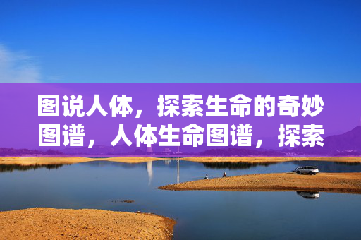 图说人体,探索生命的奇妙图谱,人体生命图谱,探索生命奥秘 图说人体,探索生命的奇妙图谱,人体生命图谱,探索生命奥秘