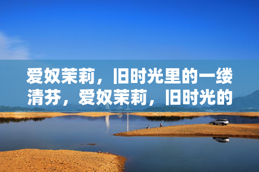 爱奴茉莉，旧时光里的一缕清芬，爱奴茉莉，旧时光的清芬