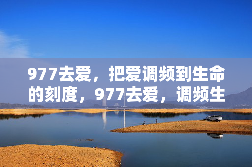 977去爱,把爱调频到生命的刻度,977去爱,调频生命的刻度 977去爱,把爱调频到生命的刻度,977去爱,调频生命的刻度