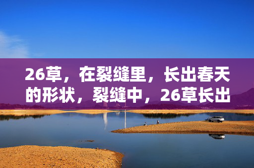 26草，在裂缝里，长出春天的形状，裂缝中，26草长出春的形状