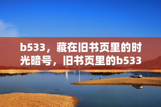 b533,藏在旧书页里的时光暗号,旧书页里的b533时光暗号 b533,藏在旧书页里的时光暗号,旧书页里的b533时光暗号