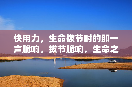 快用力,生命拔节时的那一声脆响,拔节脆响,生命之声 快用力,生命拔节时的那一声脆响,拔节脆响,生命之声