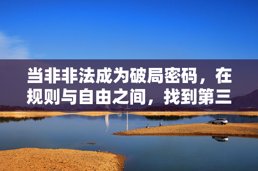 当非非法成为破局密码，在规则与自由之间，找到第三条路，非非法，规则与自由的第三条破局路