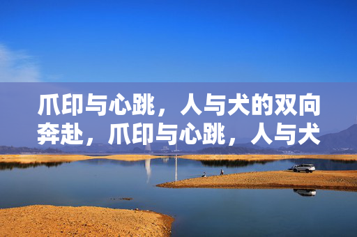 爪印与心跳,人与犬的双向奔赴,爪印与心跳,人与犬的双向奔赴 爪印与心跳,人与犬的双向奔赴,爪印与心跳,人与犬的双向奔赴
