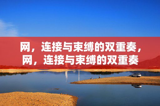 网,连接与束缚的双重奏,网,连接与束缚的双重奏 网,连接与束缚的双重奏,网,连接与束缚的双重奏