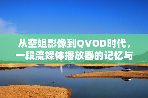 从空姐影像到QVOD时代，一段流媒体播放器的记忆与反思，从空姐影像到QVOD，流媒体播放器的记忆与反思