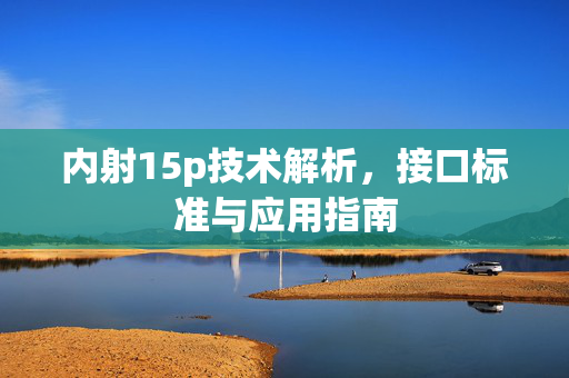 内射15p技术解析，接口标准与应用指南