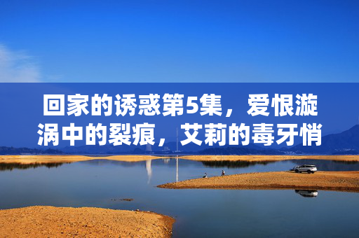 回家的诱惑第5集，爱恨漩涡中的裂痕，艾莉的毒牙悄然露出，爱恨裂痕，艾莉毒牙悄然露
