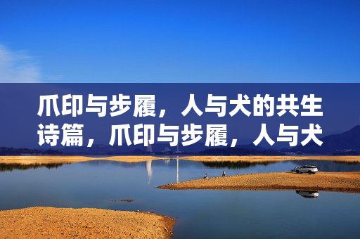 爪印与步履,人与犬的共生诗篇,爪印与步履,人与犬的共生诗篇 爪印与步履,人与犬的共生诗篇,爪印与步履,人与犬的共生诗篇