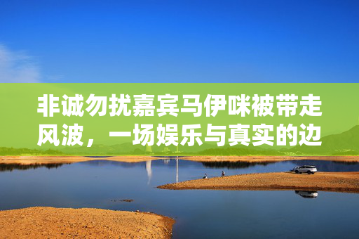 非诚勿扰嘉宾马伊咪被带走风波,一场娱乐与真实的边界之辩,马伊咪被带走风波,娱乐与真实的边界之辩 非诚勿扰嘉宾马伊咪被带走风波,一场娱乐与真实的边界之辩,马伊咪被带走风波,娱乐与真实的边界之辩