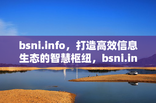 bsni.info，打造高效信息生态的智慧枢纽，bsni.info，高效信息生态智慧枢纽