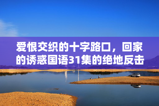 爱恨交织的十字路口，回家的诱惑国语31集的绝地反击，回家的诱惑国语31集，爱恨十字路口的绝地反击