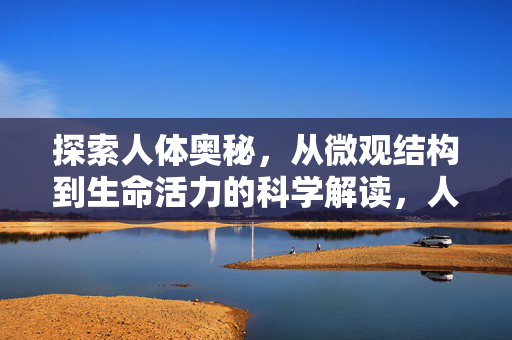 探索人体奥秘,从微观结构到生命活力的科学解读,人体奥秘,从微观结构到生命活力的科学解读 探索人体奥秘,从微观结构到生命活力的科学解读,人体奥秘,从微观结构到生命活力的科学解读