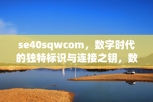 se40sqwcom，数字时代的独特标识与连接之钥，数字时代的独特标识与连接之钥
