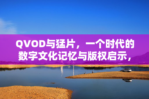 QVOD与猛片，一个时代的数字文化记忆与版权启示，QVOD与猛片，数字文化记忆与版权启示