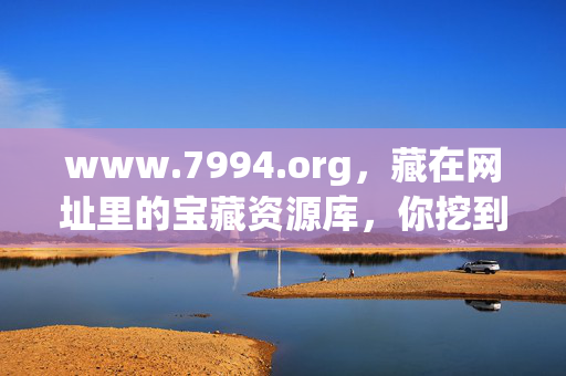 www.7994.org,藏在网址里的宝藏资源库,你挖到了吗? www.7994.org,藏在网址里的宝藏资源库,你挖到了吗?