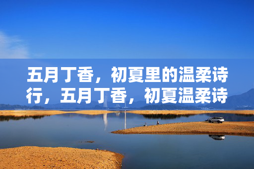 五月丁香，初夏里的温柔诗行，五月丁香，初夏温柔诗行