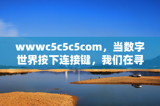 wwwc5c5c5com，当数字世界按下连接键，我们在寻找什么？数字连接键下的追寻