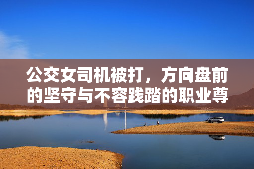 公交女司机被打，方向盘前的坚守与不容践踏的职业尊严，公交女司机被打，方向盘前的坚守与不容践踏的职业尊严