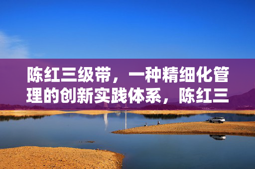 陈红三级带,一种精细化管理的创新实践体系,陈红三级带,精细化管理的创新实践体系 陈红三级带,一种精细化管理的创新实践体系,陈红三级带,精细化管理的创新实践体系