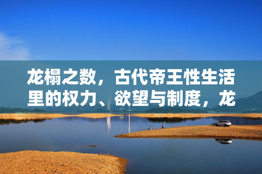 龙榻之数，古代帝王性生活里的权力、欲望与制度，龙榻之数，古代帝王性生活中的权力、欲望与制度
