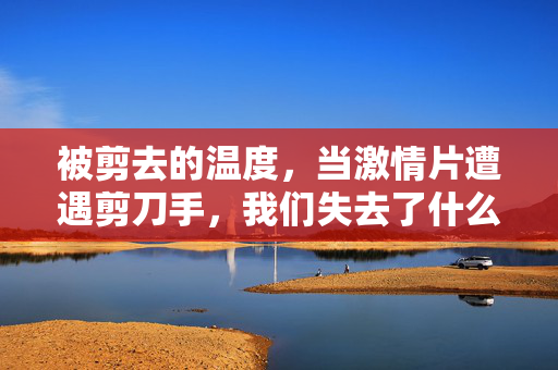 被剪去的温度,当激情片遭遇剪刀手,我们失去了什么?被剪去的温度,激情片遭遇剪刀手的失温之问 被剪去的温度,当激情片遭遇剪刀手,我们失去了什么?被剪去的温度,激情片遭遇剪刀手的失温之问