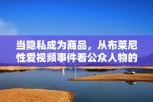 当隐私成为商品，从布莱尼性爱视频事件看公众人物的权利边界，布莱尼性爱视频事件，隐私商品化与公众人物权利边界