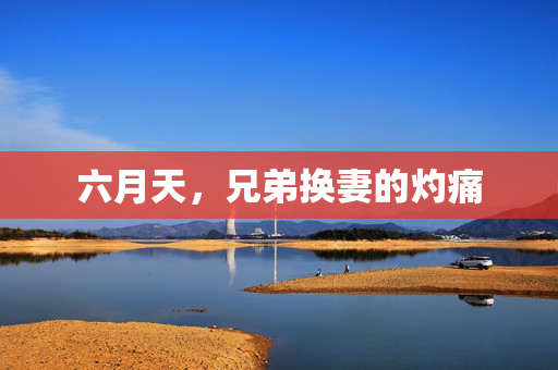 六月天，兄弟换妻的灼痛