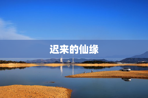 迟来的仙缘 迟来的仙缘